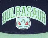 Pokemon Adult Embroidered Precurve Snapback Hat For Men and Women