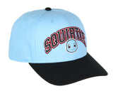 Pokemon Adult Embroidered Precurve Snapback Hat For Men and Women