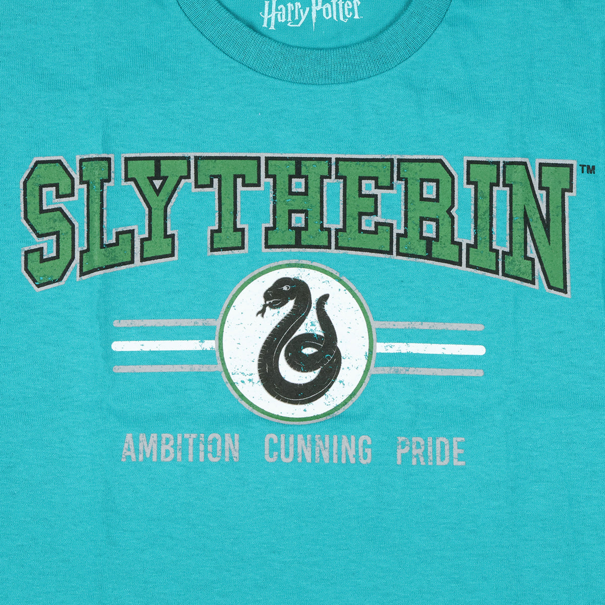 Harry Potter T-Shirt Boy's Slytherin Snake Design Short Sleeve Tee
