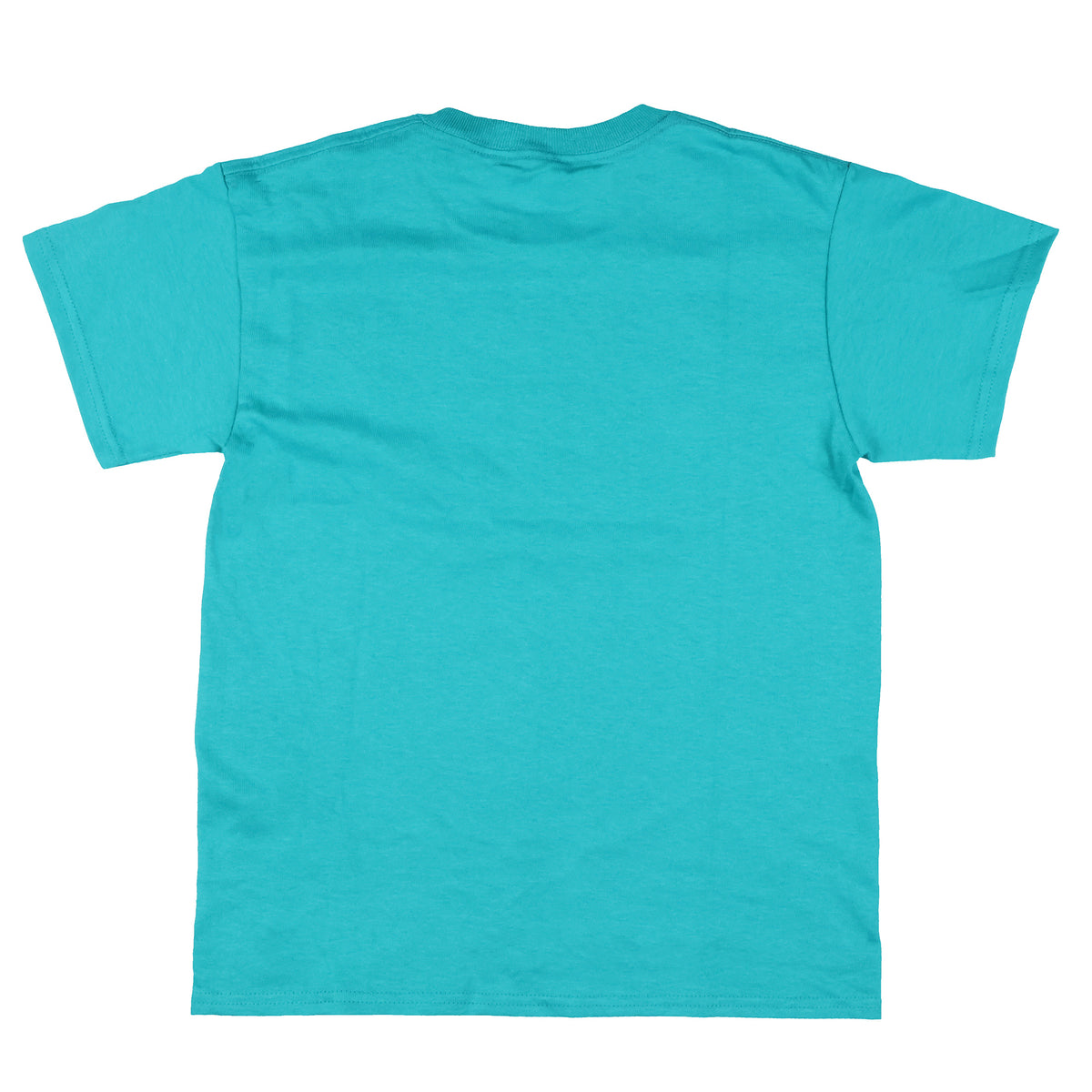 Harry Potter T-Shirt Boy's Slytherin Snake Design Short Sleeve Tee