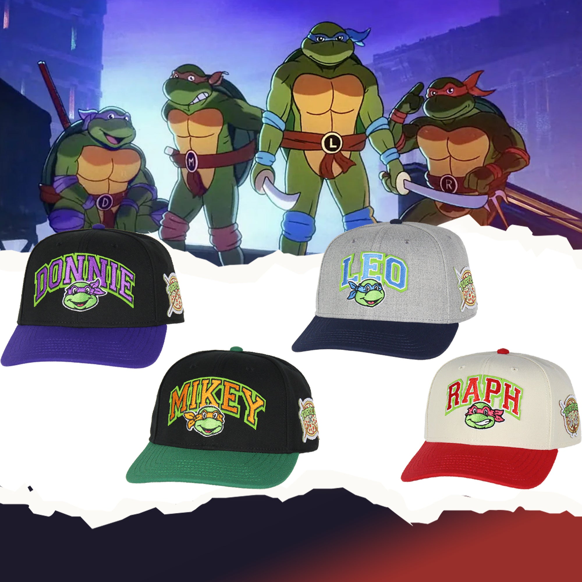 Mens' Teenage Mutant Ninja Turtles Embroidered Snapback Hat