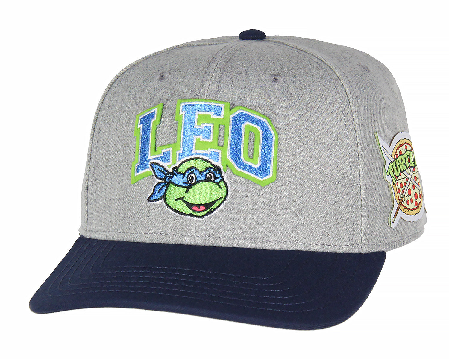 Mens' Teenage Mutant Ninja Turtles Embroidered Snapback Hat