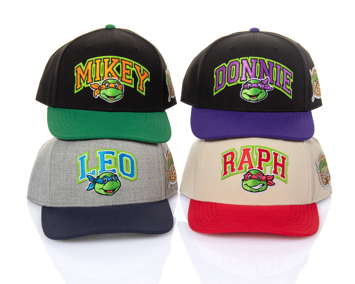 Mens' Teenage Mutant Ninja Turtles Embroidered Snapback Hat
