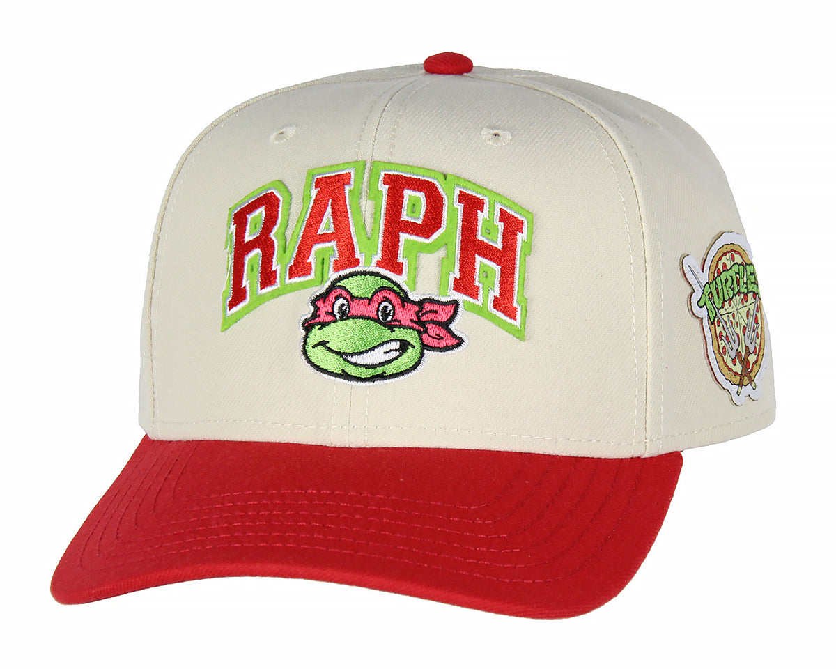 Mens' Teenage Mutant Ninja Turtles Embroidered Snapback Hat
