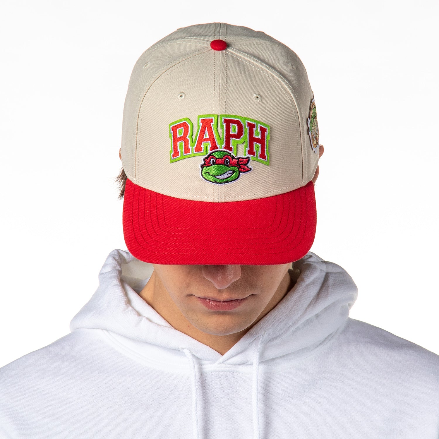 Mens' Teenage Mutant Ninja Turtles Embroidered Snapback Hat
