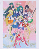 Sailor Moon Merch Women's Character Poster Raglan Jogger Pajama Set