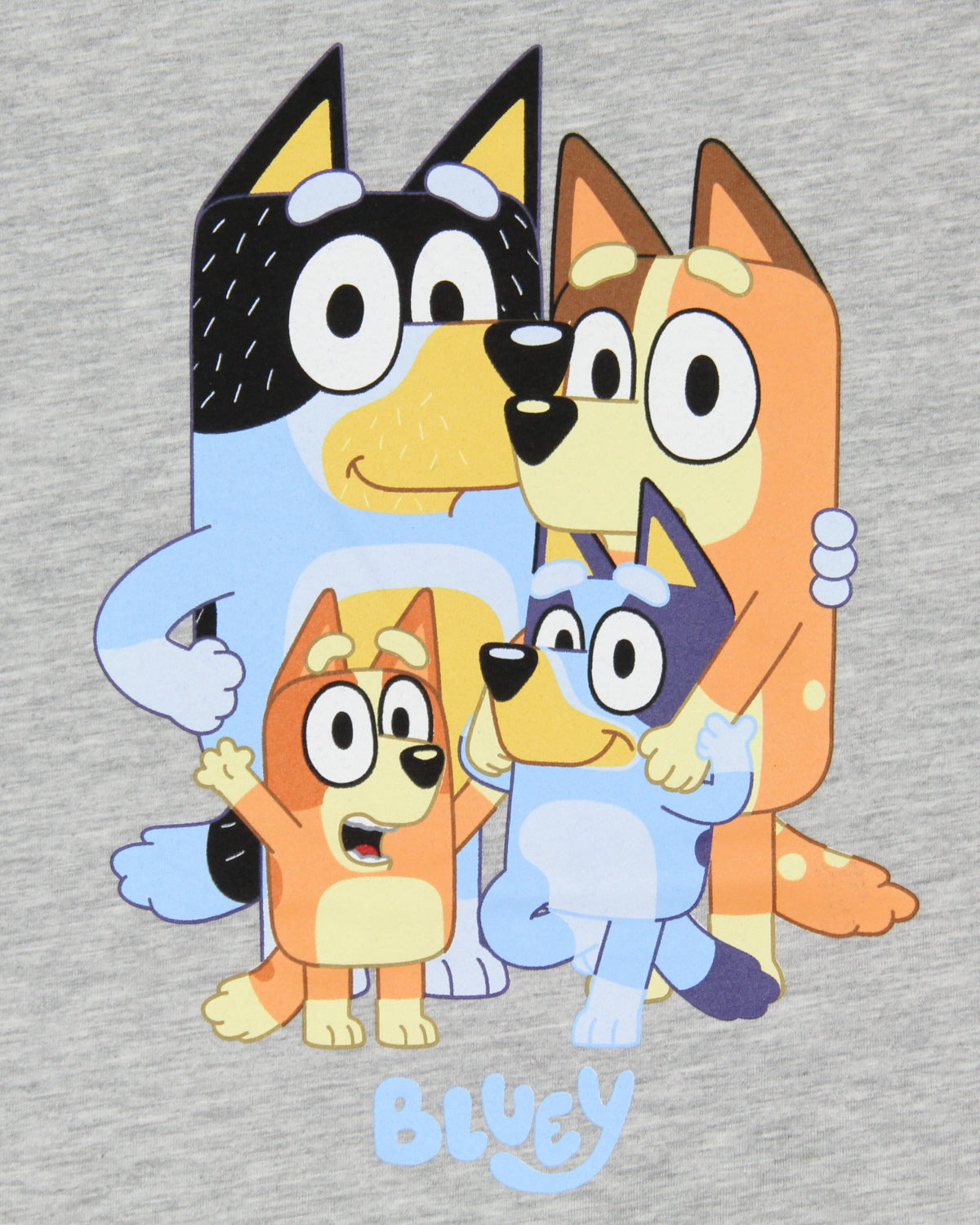 Bluey Women's Family Photo Character Design Short Sleeve T-Shirt