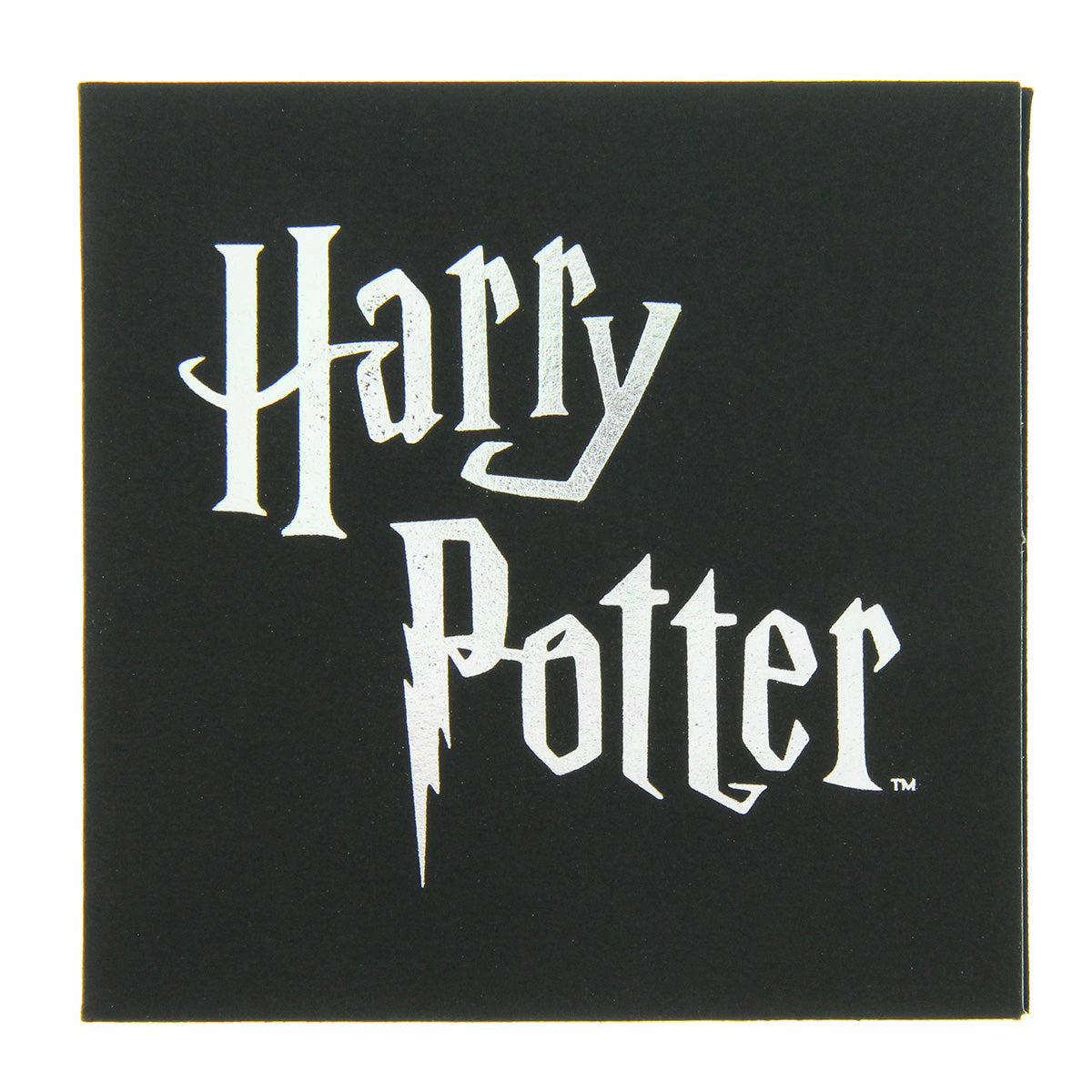Harry Potter Hedwig Owl With Hogwarts Acceptance Letter Broche Brooch Enamel Pin - Seven Times Six