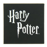 Harry Potter Hedwig Owl With Hogwarts Acceptance Letter Broche Brooch Enamel Pin