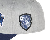 Harry Potter Embroidered House Crest Animal Adjustable Snapback Hat Caps