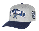 Harry Potter Embroidered House Crest Animal Adjustable Snapback Hat Caps