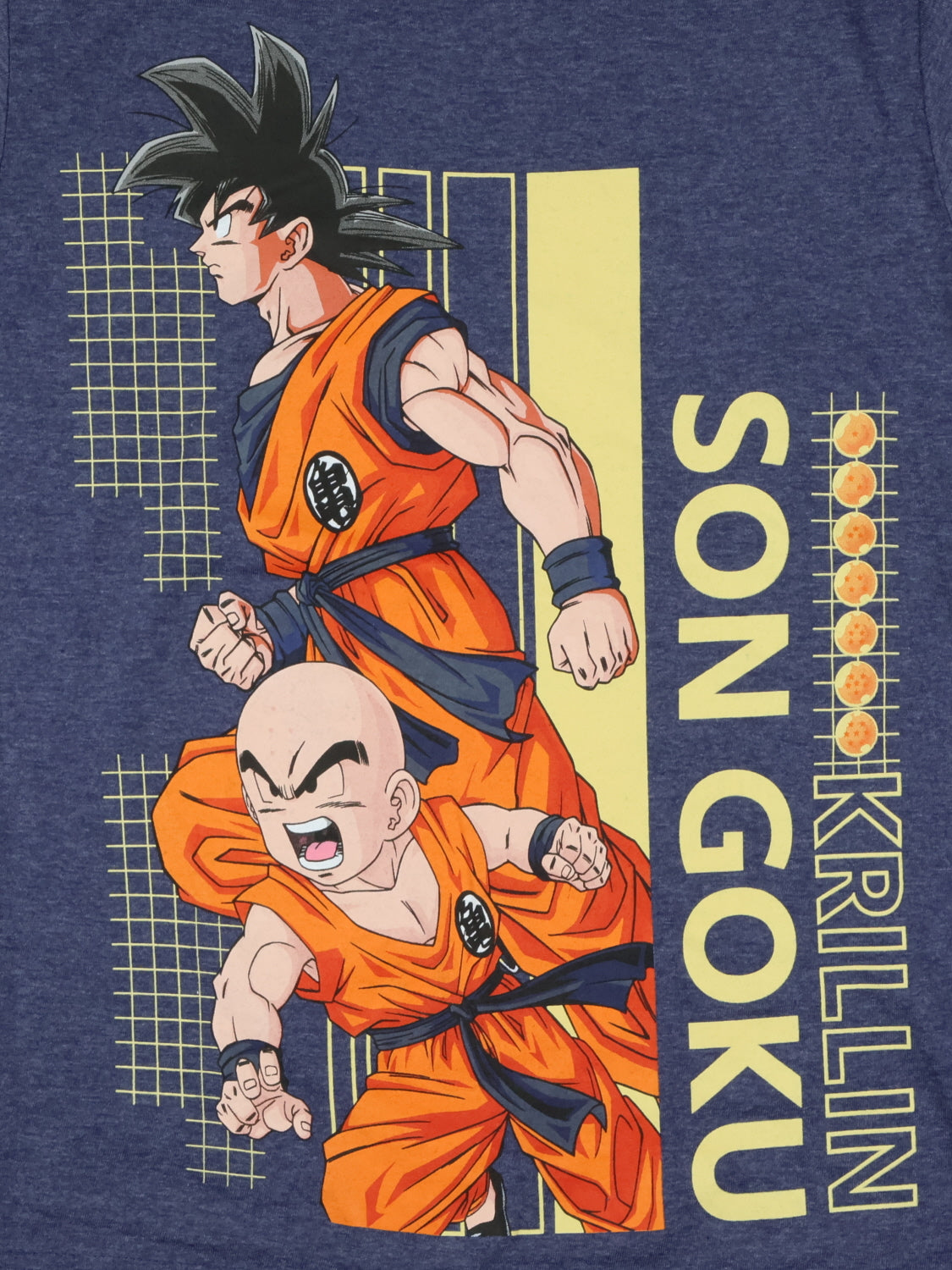 Dragon Ball Z Shirt Boy's Son Goku and Krillin Short Sleeve Graphic Tee