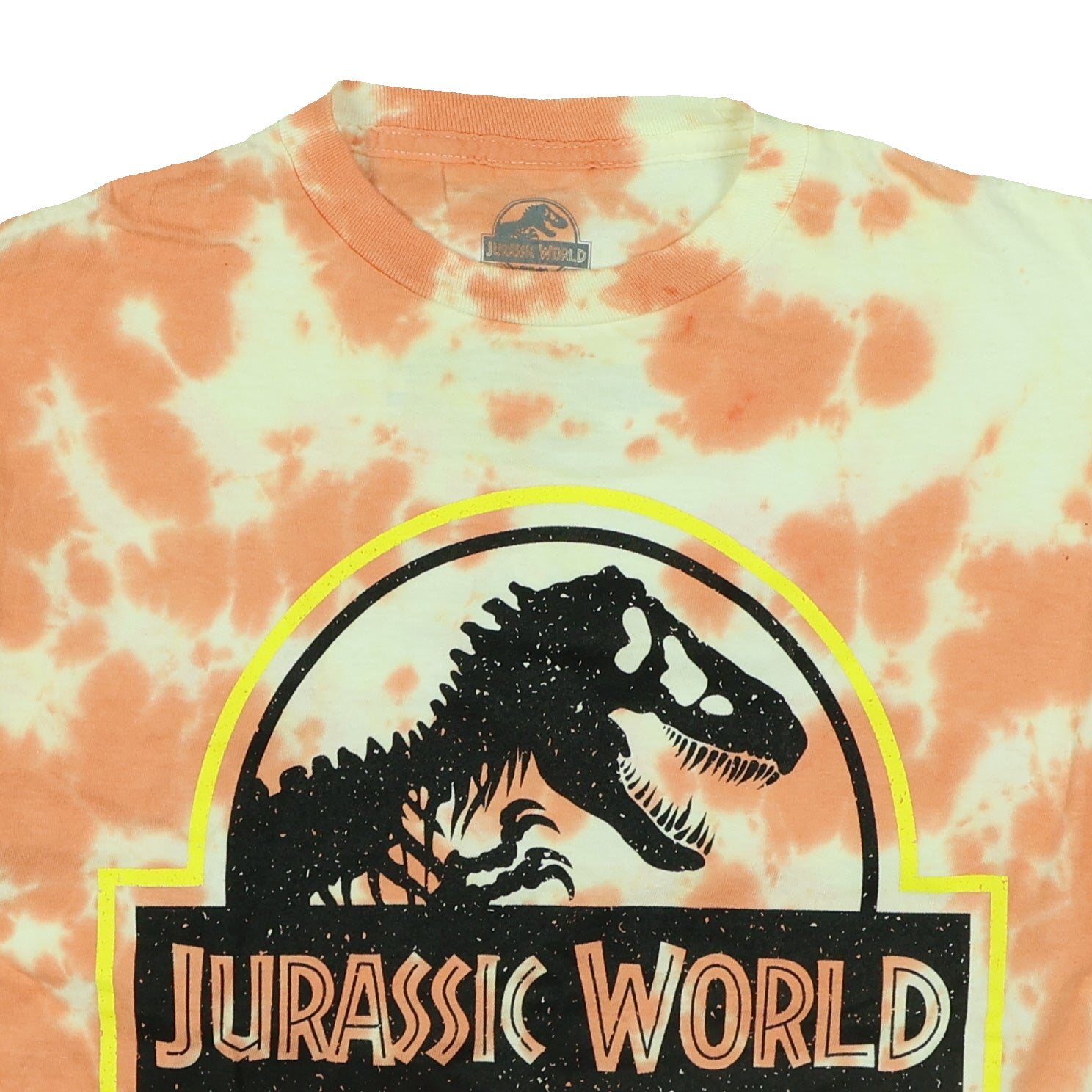 Jurassic World T-Shirt Boys' Tie-Dyed Logo Design Graphic Print Tee