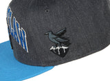 Harry Potter Ravenclaw Embroidered House Crest Adjustable Snapback Hat Cap