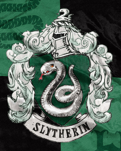 Harry Potter House Crests Silk Touch Throw 50" x 60"- Choose From All 4 Houses