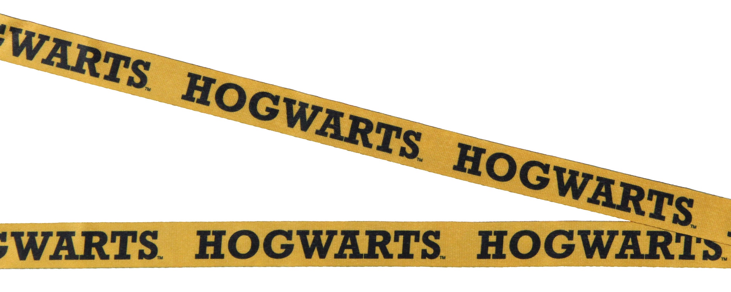 Harry Potter Hogwarts Lanyard Metal Charm ID Card Holder and Collectible Sticker