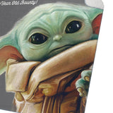 Star Wars The Mandalorian Blanket The Child Fleece Lined Throw 50" X 60"