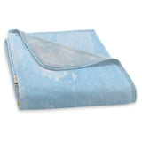 Northwest Cinderella Micro Raschel Throw Blanket, 46" x 60", On Time