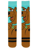 Scooby-Doo Socks Men's Shaggy and Scooby 2-Pair Mid-Rise Crew Socks