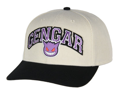 Pokemon Adult Embroidered Precurve Snapback Hat For Men and Women
