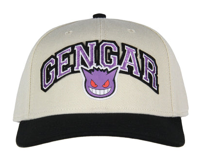 Pokemon Adult Embroidered Precurve Snapback Hat For Men and Women