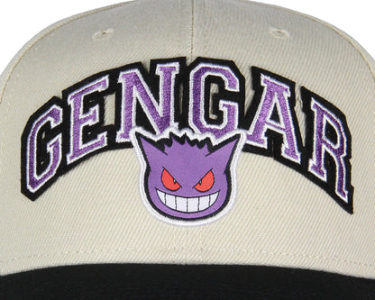 Pokemon Adult Embroidered Precurve Snapback Hat For Men and Women
