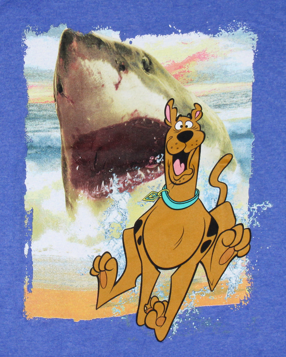 Scooby-Doo Boys' Shark Chasing Scooby Print Design T-Shirt Kids