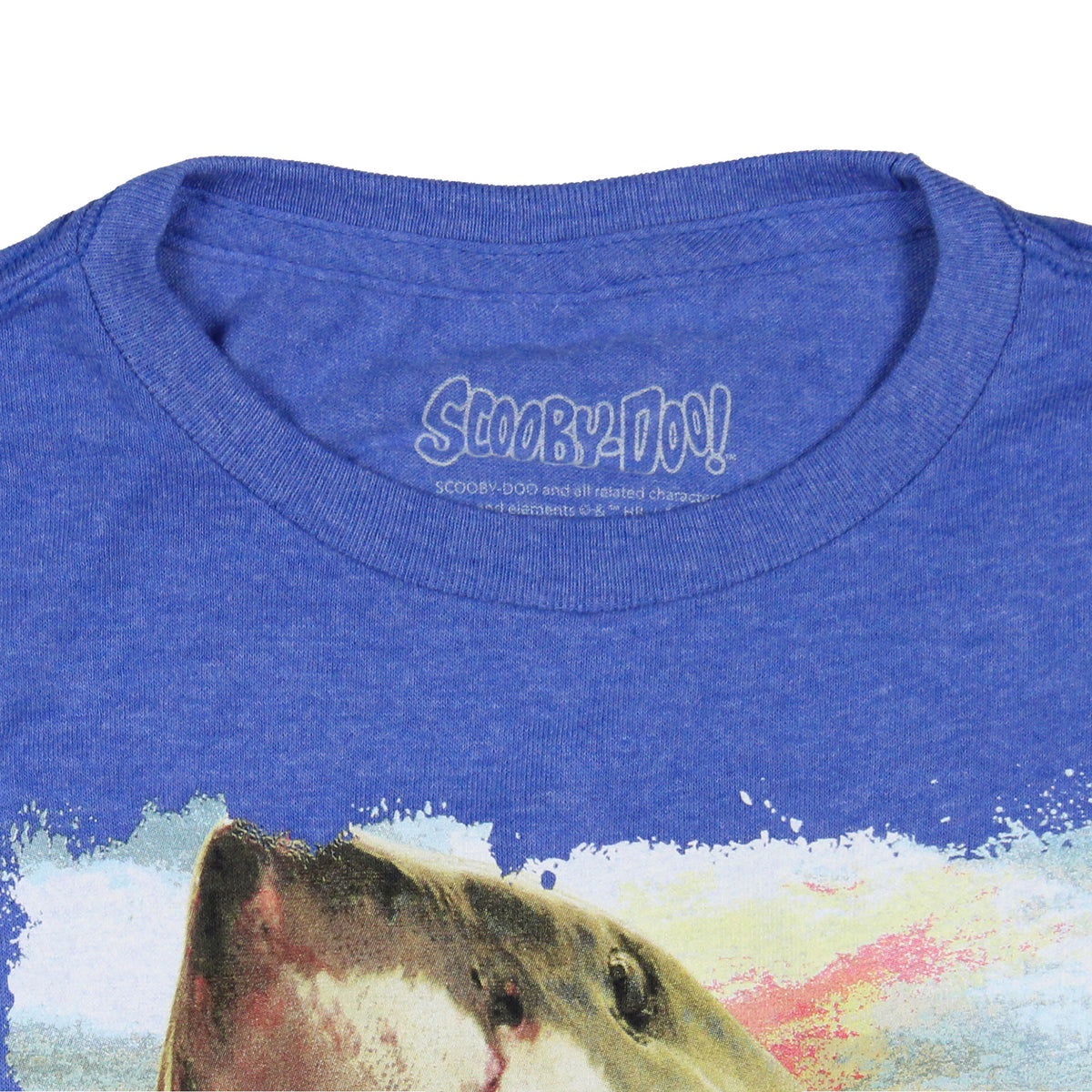 Scooby-Doo Boys' Shark Chasing Scooby Print Design T-Shirt Kids