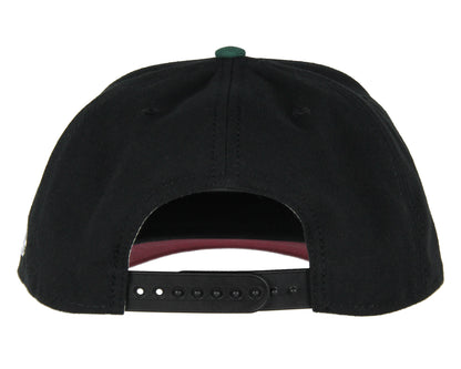 Star Wars Adult Embroidered Precurve Snapback Hat For Men and Women