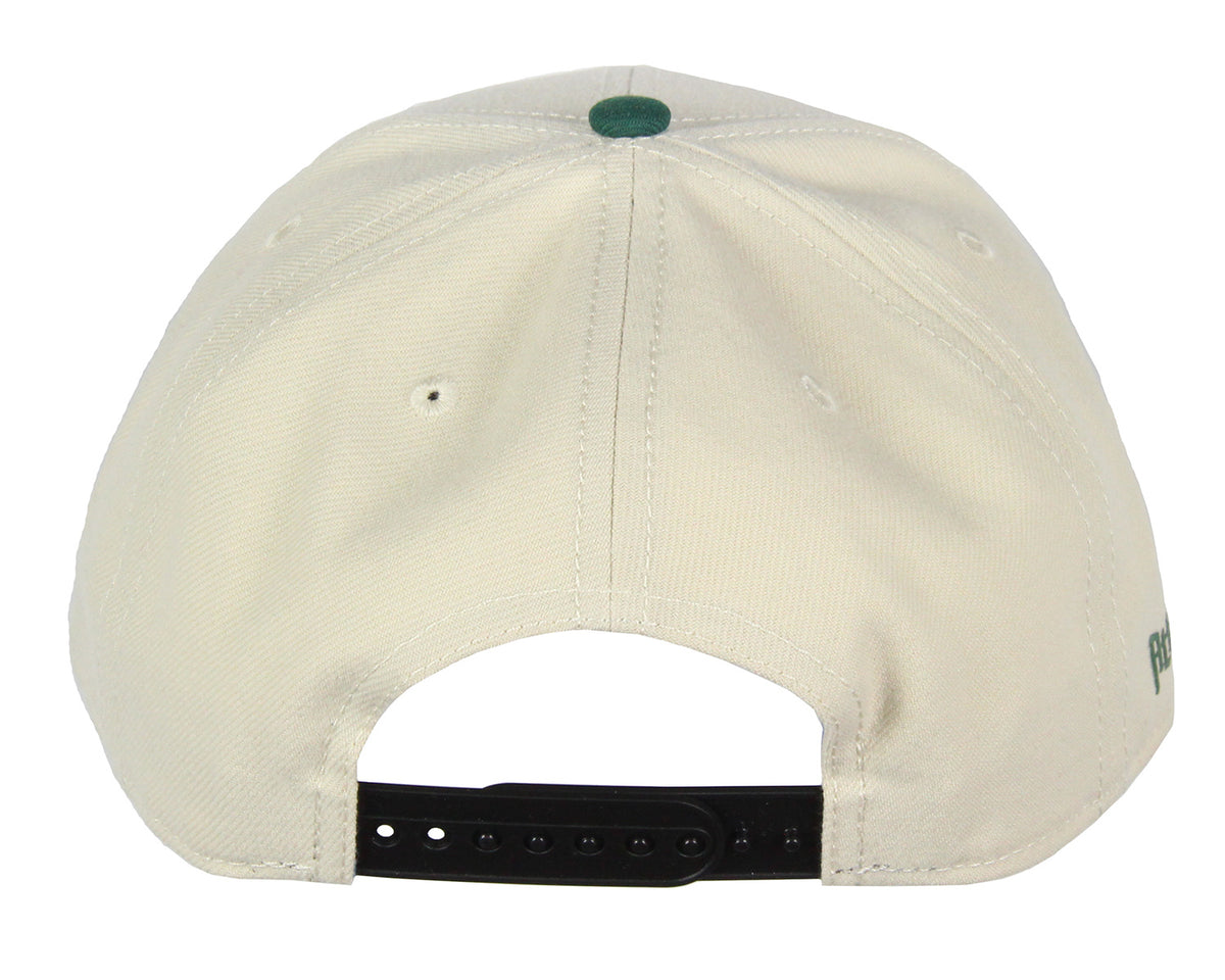 Attack on Titan Adult Scout Regiment Embroidered Snapback Hat for Men and Women