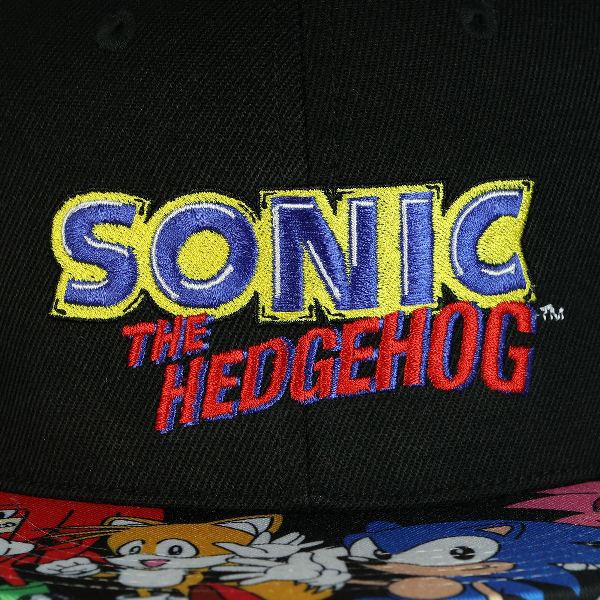 Sonic The Hedgehog Snapback Hat Character Design Flat Brim Embroidered Cap OSFM
