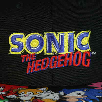 Sonic The Hedgehog Snapback Hat Character Design Flat Brim Embroidered Cap OSFM