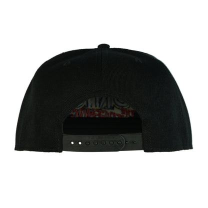 Sonic The Hedgehog Snapback Hat Character Design Flat Brim Embroidered Cap OSFM