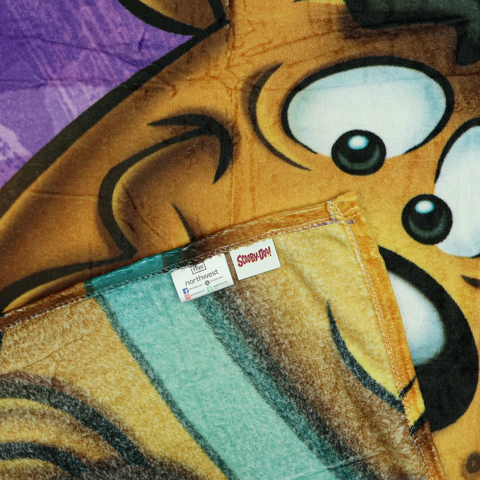 Scooby Doo Blanket Loveable Pup Close Up Silk Touch Lightweight Throw 46" X 60"