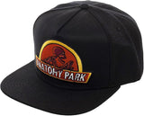 Rick And Morty Anatomy Park Logo Snapback Baseball Hat