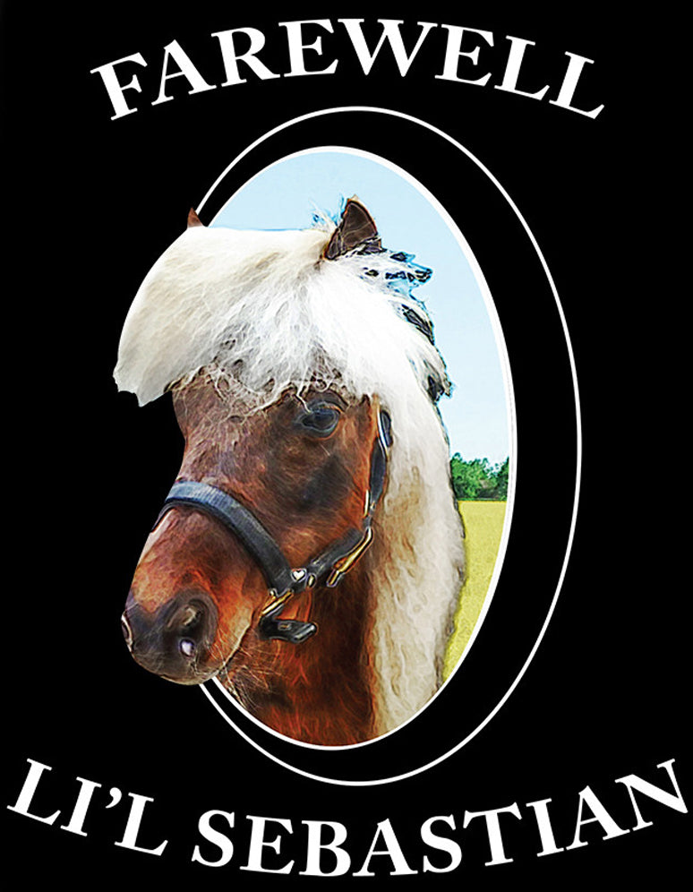 Parks And Recreation Farewell Li'l Sebastian Fleece Throw Blanket