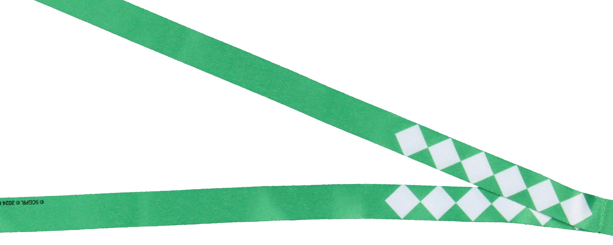 Power Rangers Green Ranger ID Lanyard Badge Holder w Dragonzord Rubber Pendant