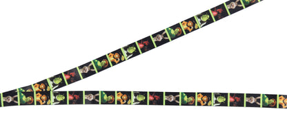Shrek Ogre and Friends ID Reversible Lanyard Badge Holder w Shrek Rubber Charm