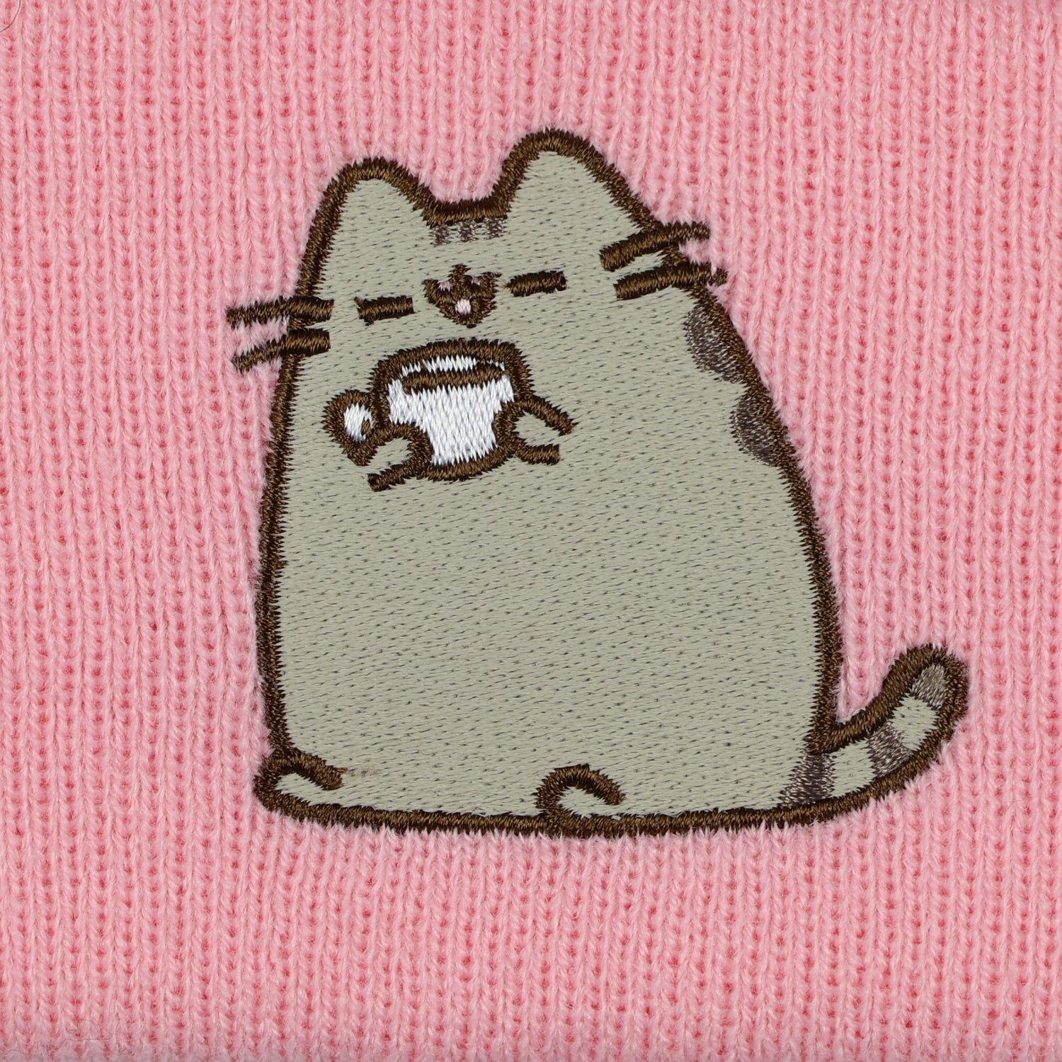 Pusheen Beanie Embroidered Tabby Cat Patch Design Fold Cuff Knit Hat Adult