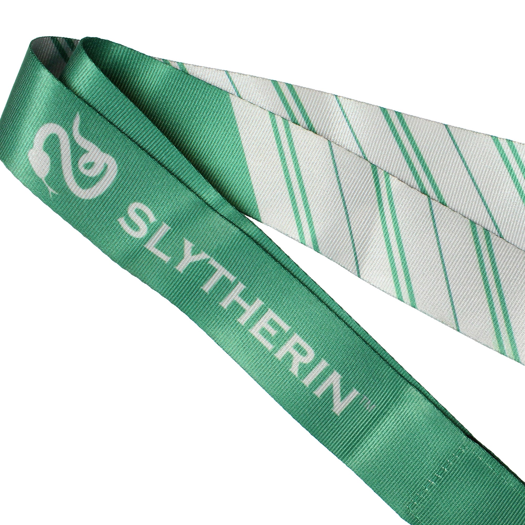 Harry Potter ID Lanyard With 2" Embossed Metal House Charm Pendant- Slytherin