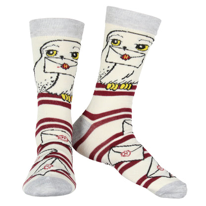 Harry Potter Men's House Mascot and Hedwig Designs 2 Pack Crew Socks