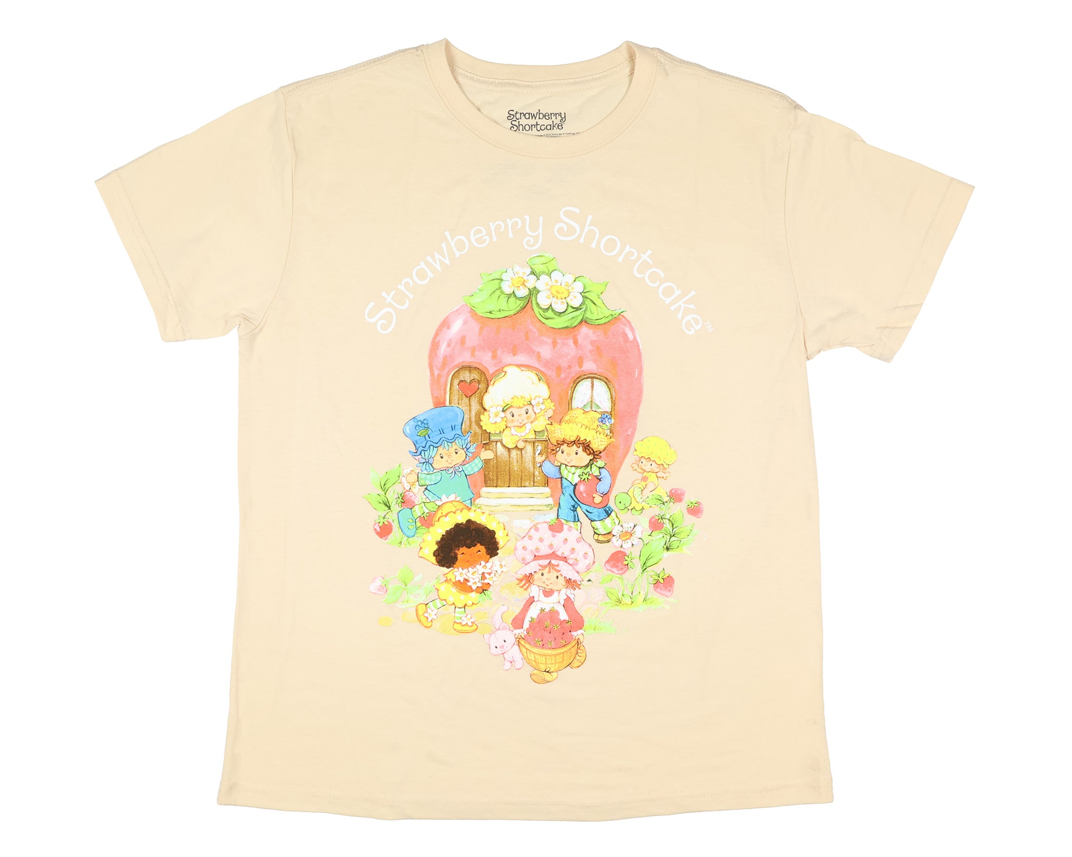 Strawberry Shortcake Women's Garden Party and Friends Short Sleeve T-Shirt (L)