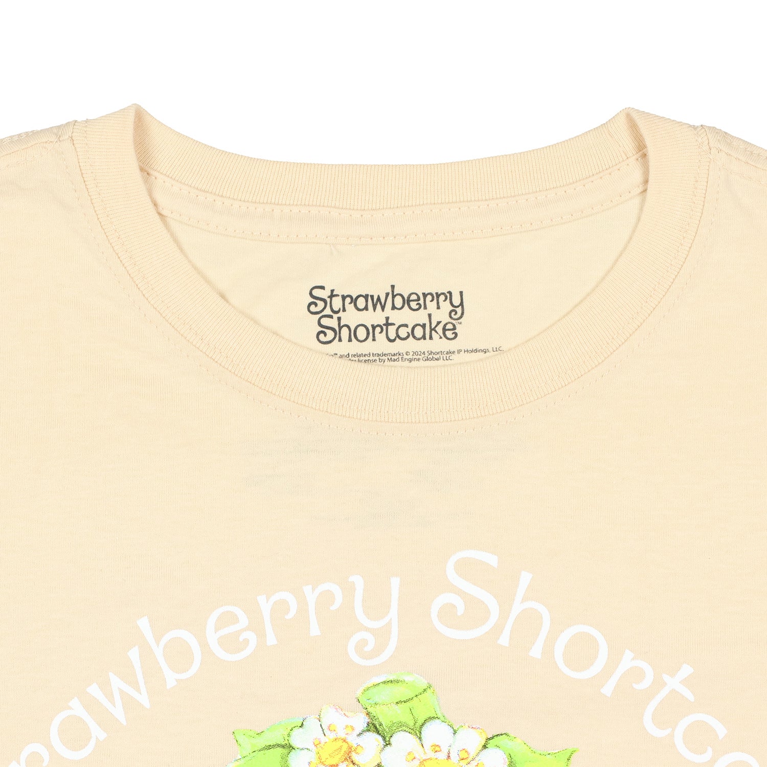 Strawberry Shortcake Women's Garden Party and Friends Short Sleeve T-Shirt (L)