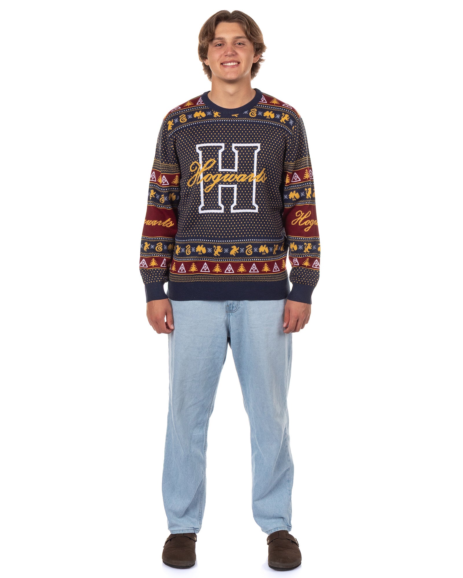 Harry Potter Men's Hogwarts Houses Design Ugly Holiday Knit Sweater