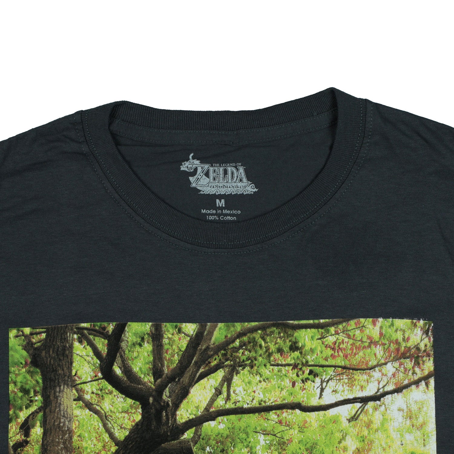 The Legend of Zelda T-Shirt Men's Link in The Park Short Sleeve Tee