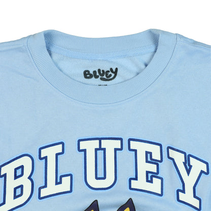 Bluey Men's Block Logo Design Crewneck Pullover Long Sleeve Sweatshirt