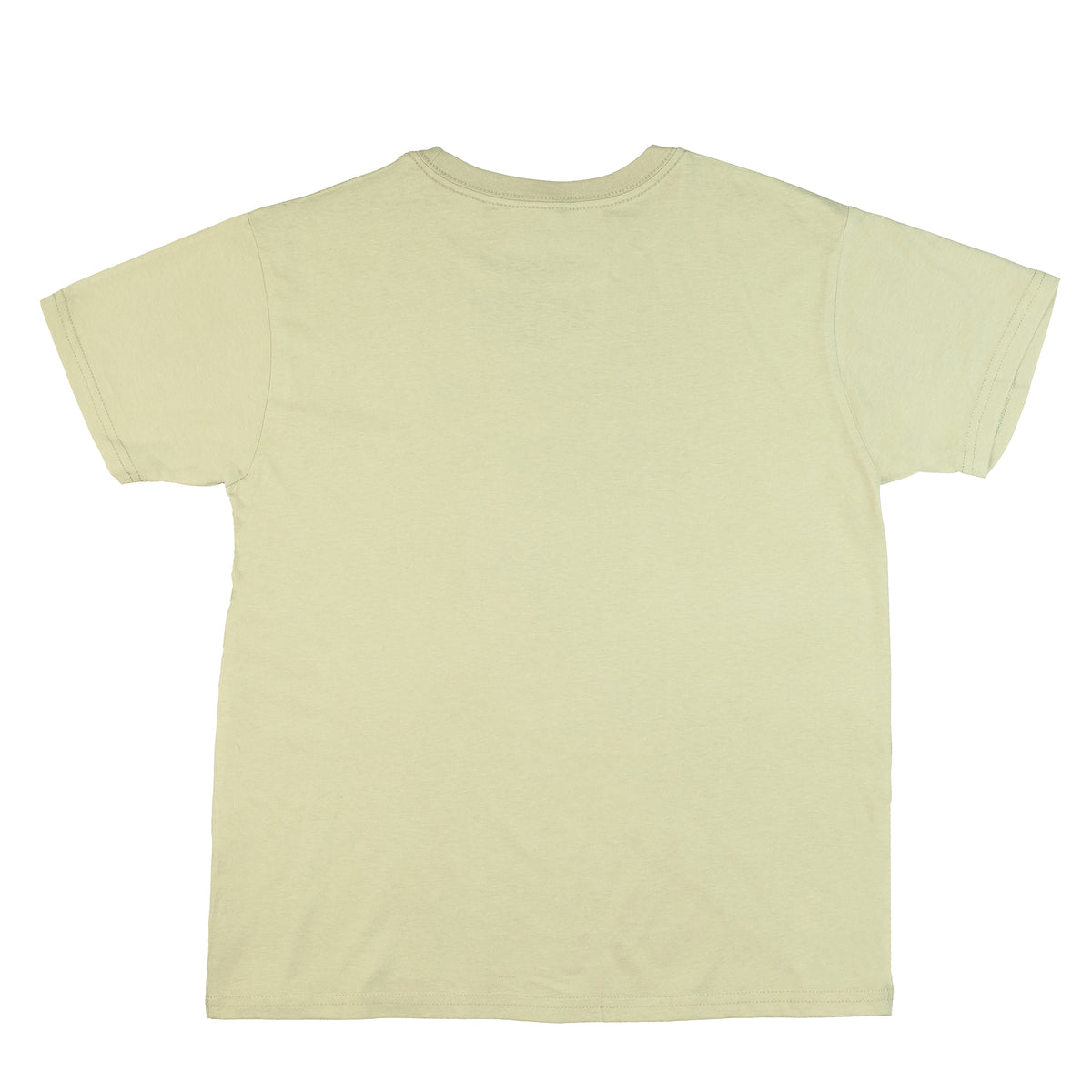 Garfield T-Shirt Men's Monday's Distressed Expressions Short Sleeve Top