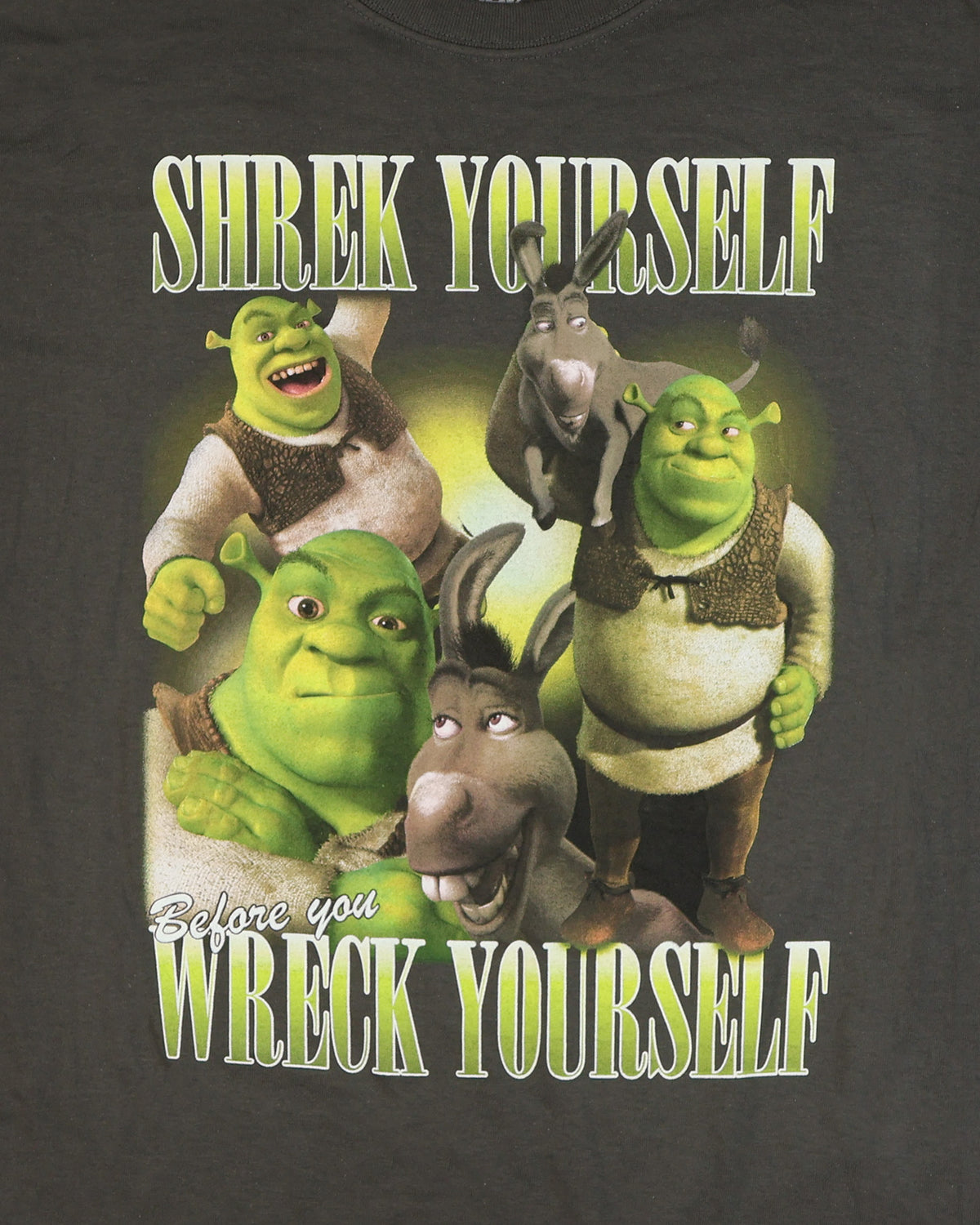 Shrek T-Shirt Men's Shrek Yourself Before You Wreck Yourself Tee