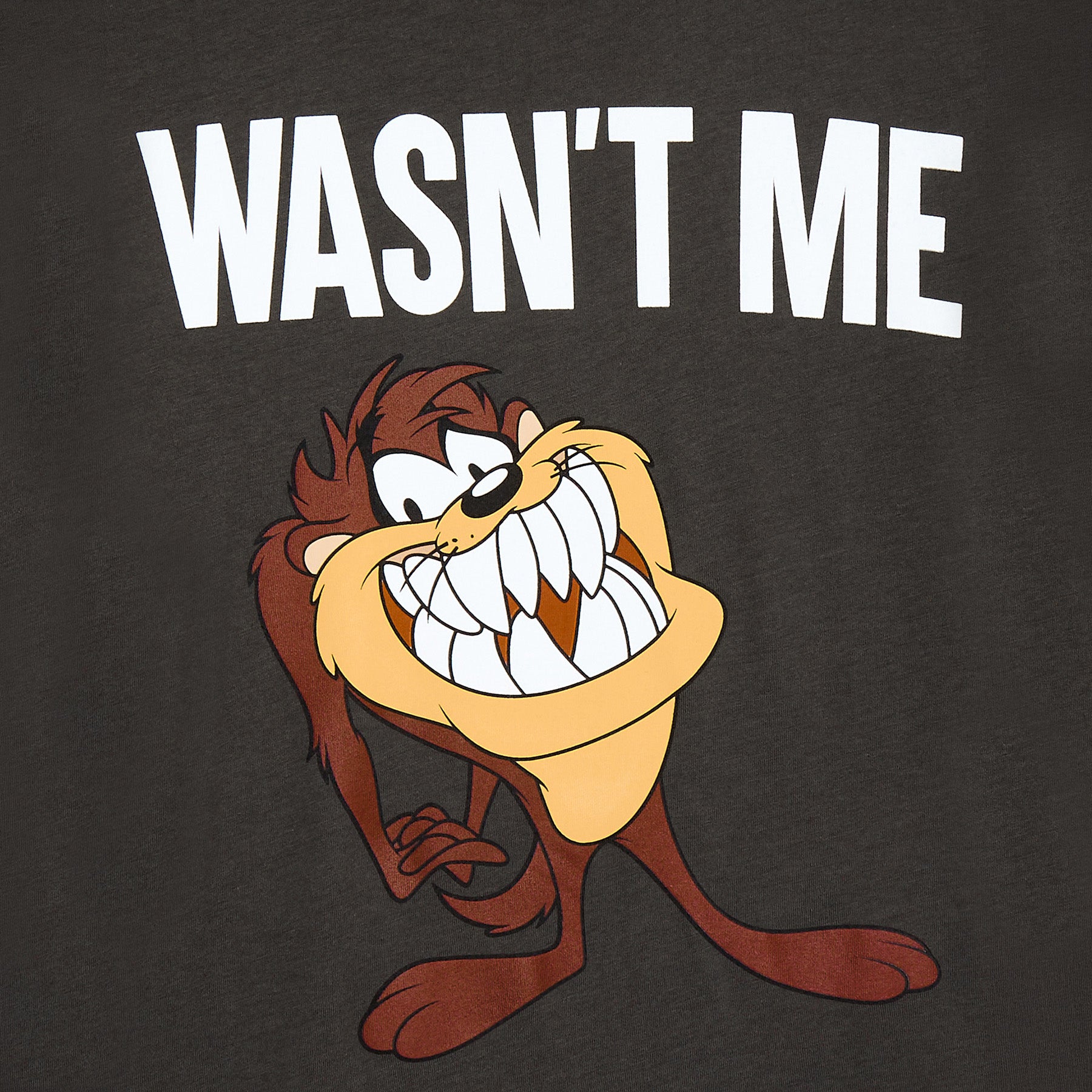Looney Tunes T-Shirt Boys' Taz Wasn't Me Short Sleeve Tee