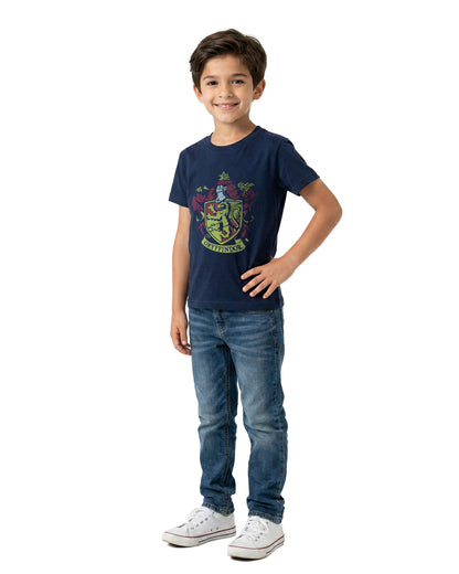 Harry Potter Shirt Boy's Gryffindor Distressed Short Sleeve Tee